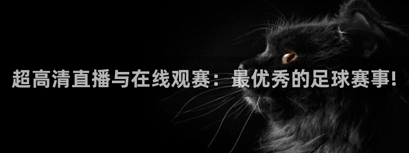 超高清直播与在线观赛：最优秀的足球赛事!