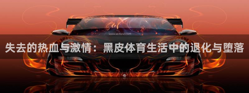 失去的热血与激情：黑皮体育生活中的退化与堕落