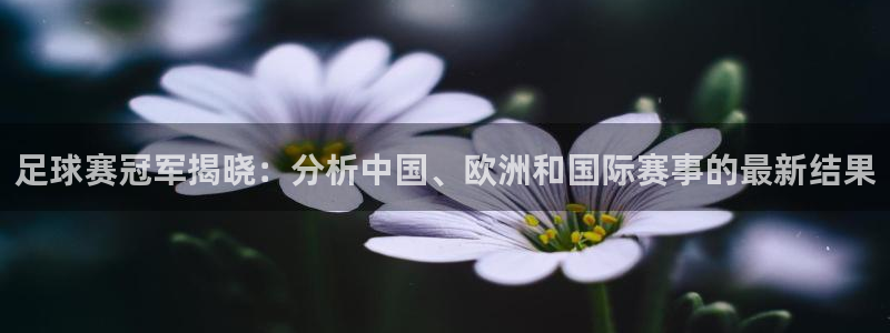 足球赛冠军揭晓：分析中国、欧洲和国际赛事的最新结果