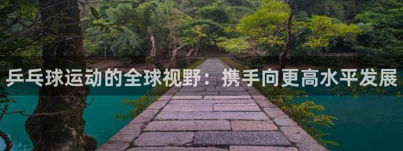 乒乓球运动的全球视野：携手向更高水平发展