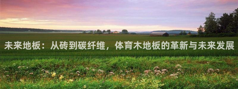 未来地板：从砖到碳纤维，体育木地板的革新与未来发展