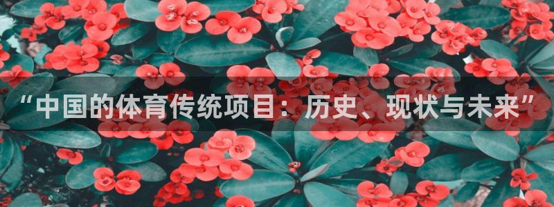 “中国的体育传统项目：历史、现状与未来”