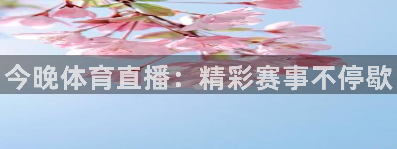 今晚体育直播：精彩赛事不停歇