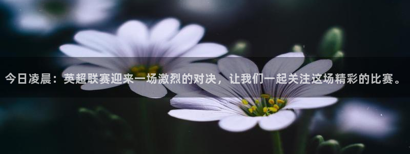 今日凌晨：英超联赛迎来一场激烈的对决，让我们一起关注这场精彩的比赛。