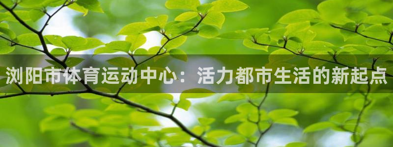 浏阳市体育运动中心：活力都市生活的新起点