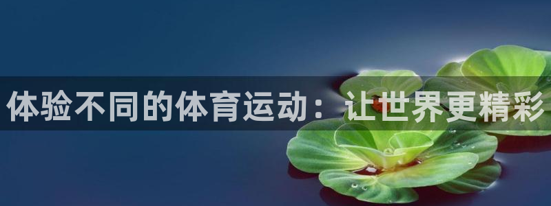 体验不同的体育运动：让世界更精彩
