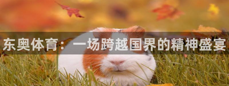 东奥体育：一场跨越国界的精神盛宴