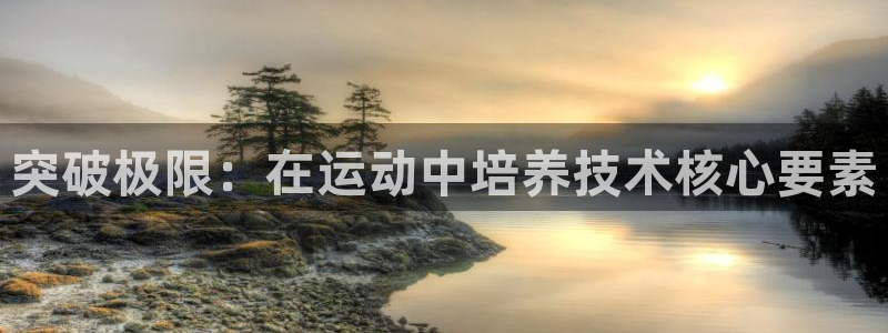 突破极限：在运动中培养技术核心要素