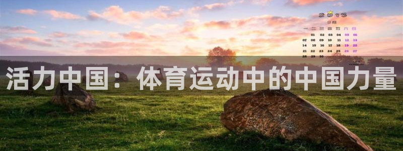 活力中国：体育运动中的中国力量