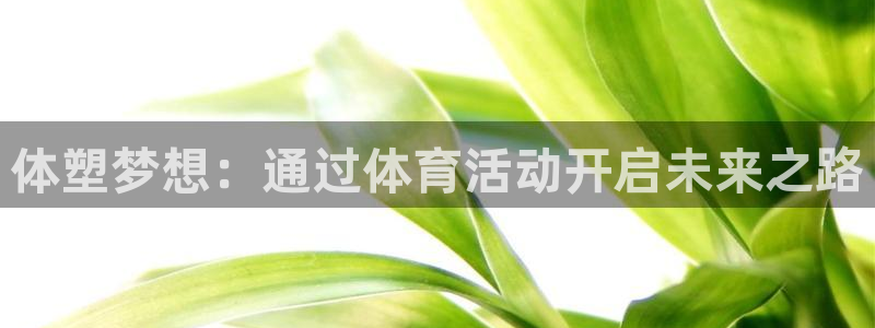 体塑梦想：通过体育活动开启未来之路
