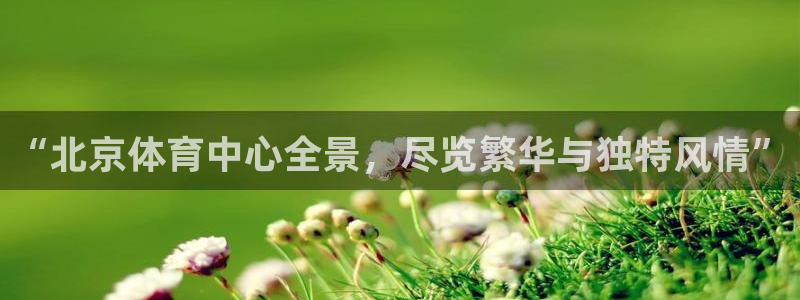 “北京体育中心全景，尽览繁华与独特风情”