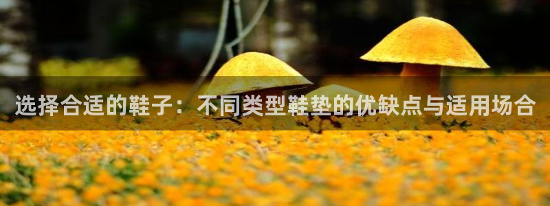 选择合适的鞋子：不同类型鞋垫的优缺点与适用场合