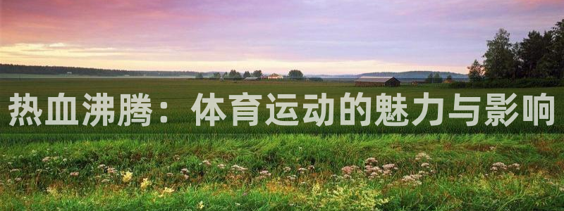 热血沸腾：体育运动的魅力与影响