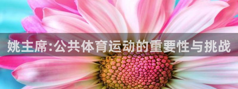 姚主席:公共体育运动的重要性与挑战