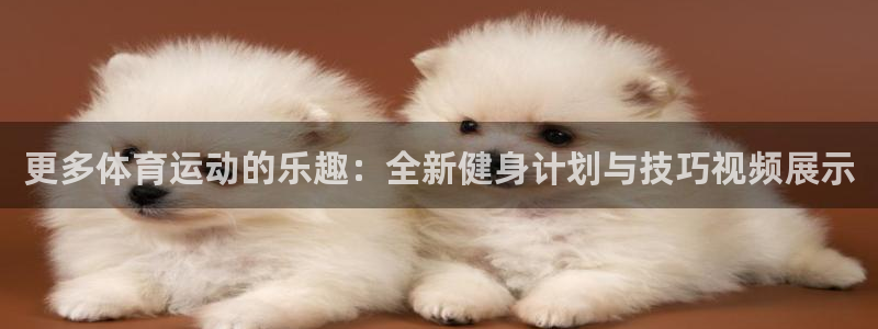 更多体育运动的乐趣：全新健身计划与技巧视频展示