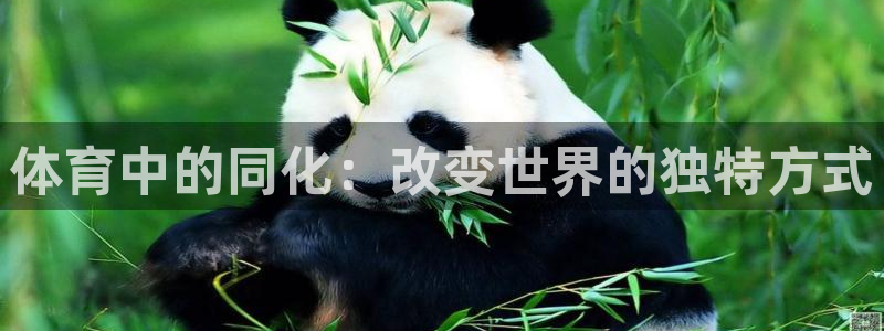 体育中的同化：改变世界的独特方式