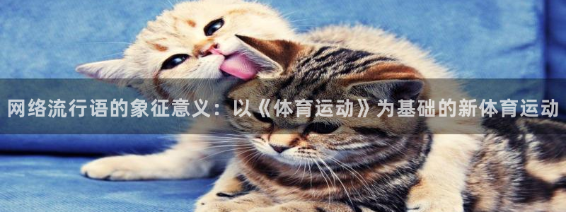 网络流行语的象征意义：以《体育运动》为基础的新体育运动