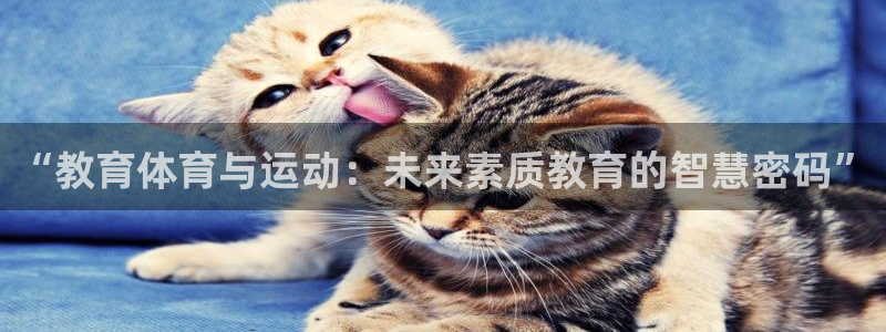 “教育体育与运动：未来素质教育的智慧密码”