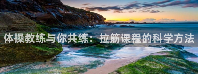 体操教练与你共练：拉筋课程的科学方法