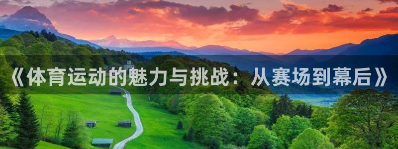 《体育运动的魅力与挑战：从赛场到幕后》