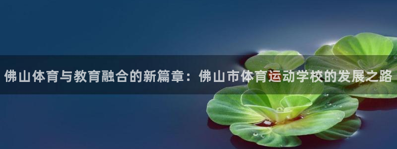 佛山体育与教育融合的新篇章：佛山市体育运动学校的发展之路
