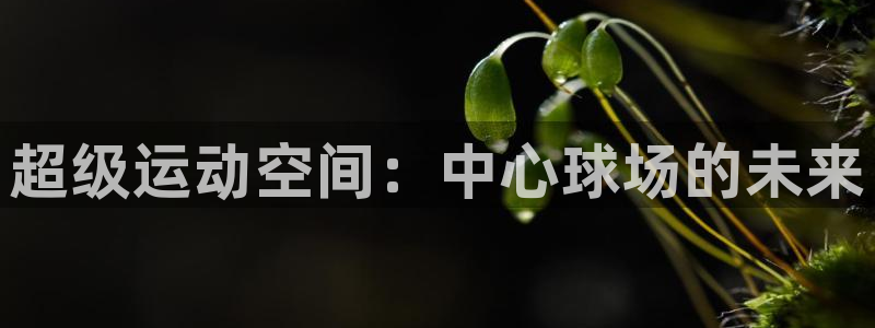 超级运动空间：中心球场的未来