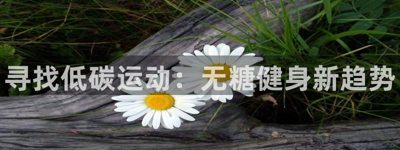 寻找低碳运动：无糖健身新趋势