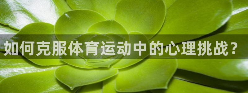 如何克服体育运动中的心理挑战？