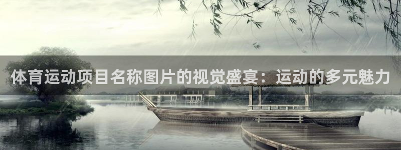 体育运动项目名称图片的视觉盛宴：运动的多元魅力