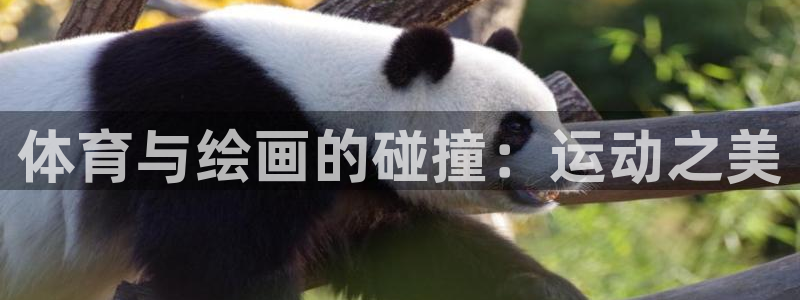 体育与绘画的碰撞：运动之美