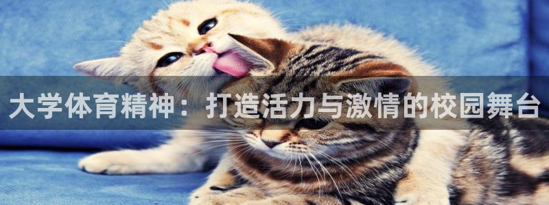 大学体育精神：打造活力与激情的校园舞台