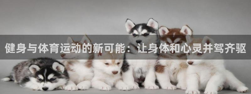 健身与体育运动的新可能：让身体和心灵并驾齐驱