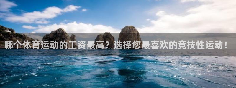 哪个体育运动的工资最高？选择您最喜欢的竞技性运动！