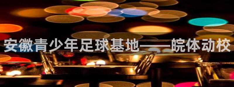 安徽青少年足球基地——皖体动校