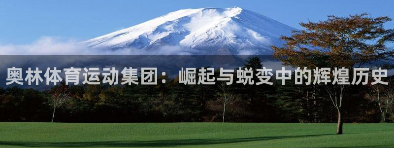 奥林体育运动集团：崛起与蜕变中的辉煌历史