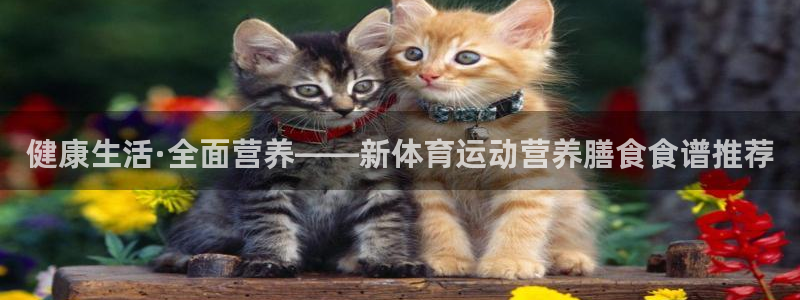 健康生活·全面营养——新体育运动营养膳食食谱推荐