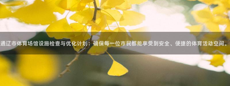 通辽市体育场馆设施检查与优化计划：确保每一位市民都能享受到安全、便捷的体育活动空间。