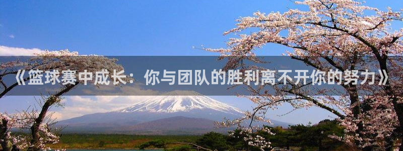 《篮球赛中成长：你与团队的胜利离不开你的努力》