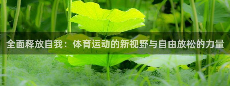 全面释放自我：体育运动的新视野与自由放松的力量