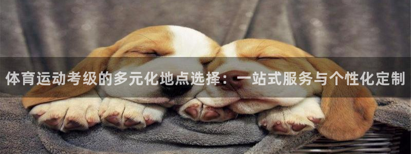 体育运动考级的多元化地点选择：一站式服务与个性化定制