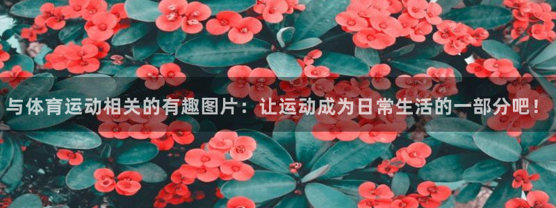 与体育运动相关的有趣图片：让运动成为日常生活的一部分吧！