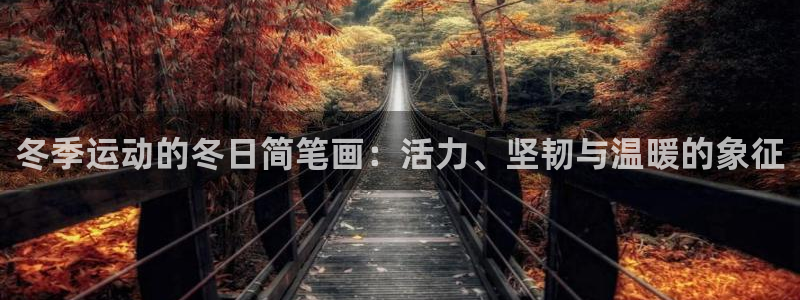 冬季运动的冬日简笔画：活力、坚韧与温暖的象征