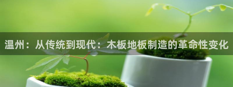 温州：从传统到现代：木板地板制造的革命性变化