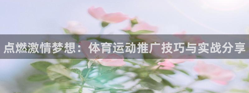 点燃激情梦想：体育运动推广技巧与实战分享