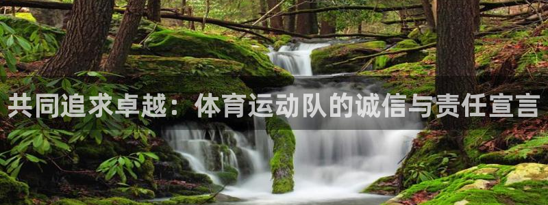 共同追求卓越：体育运动队的诚信与责任宣言