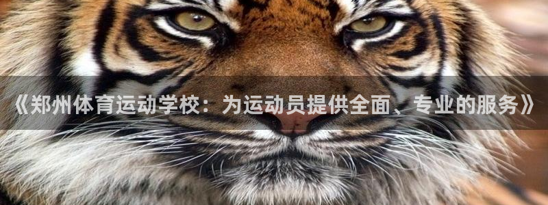 《郑州体育运动学校：为运动员提供全面、专业的服务》