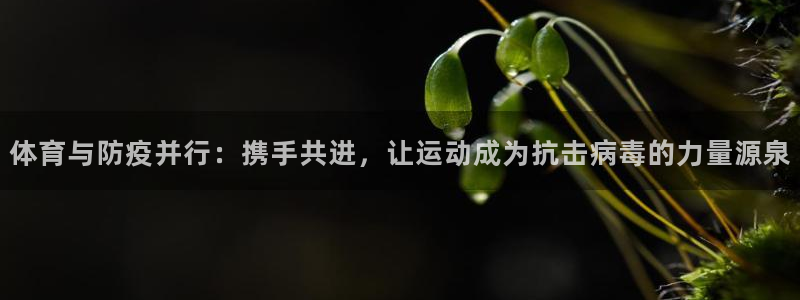 体育与防疫并行：携手共进，让运动成为抗击病毒的力量源泉