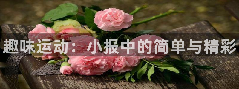 趣味运动：小报中的简单与精彩
