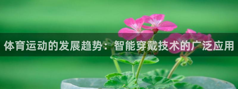 体育运动的发展趋势：智能穿戴技术的广泛应用