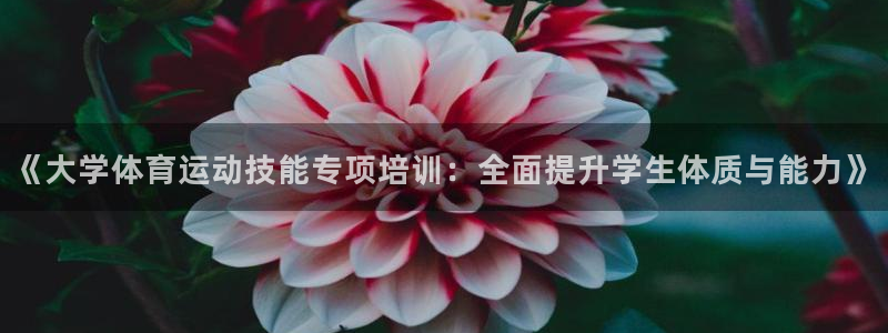 《大学体育运动技能专项培训：全面提升学生体质与能力》